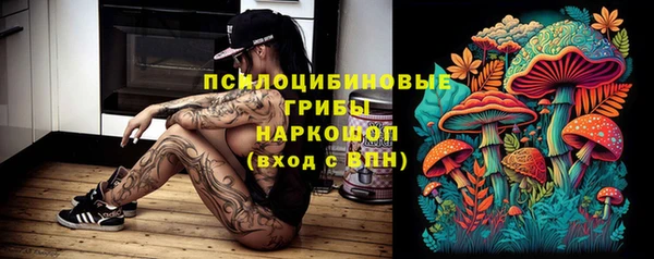 бошки Алексеевка