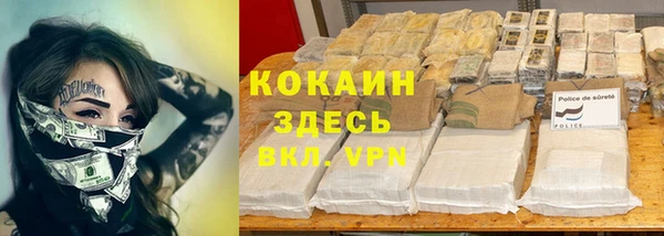 2c-b Алзамай