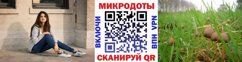 Псилоцибиновые грибы Psilocybe  магазин продажи наркотиков  Ступино 